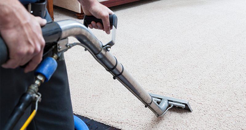 Steam cleaning wand being drawn across a cream carpet